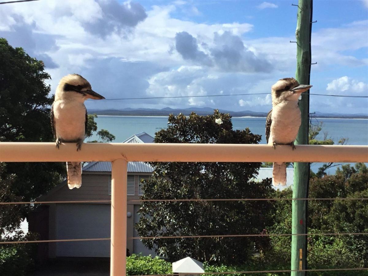 Dutchie'S Sand & Sea Beach House - Easy Walk To The Beach Nelson Bay Eksteriør bilde
